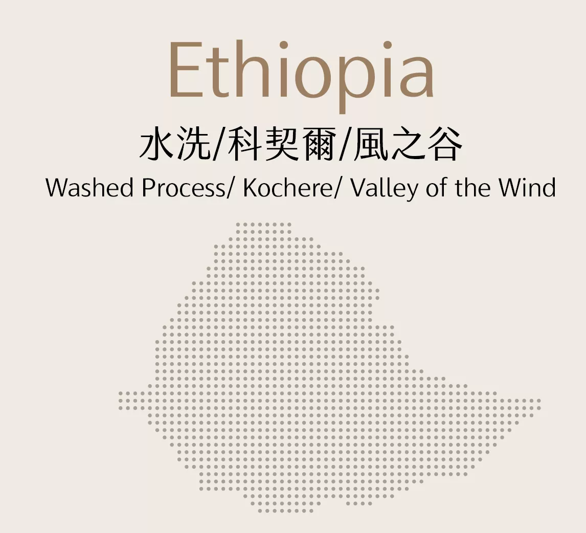 衣索比亞 | 水洗 | 科契爾 | 風之谷 | 半磅