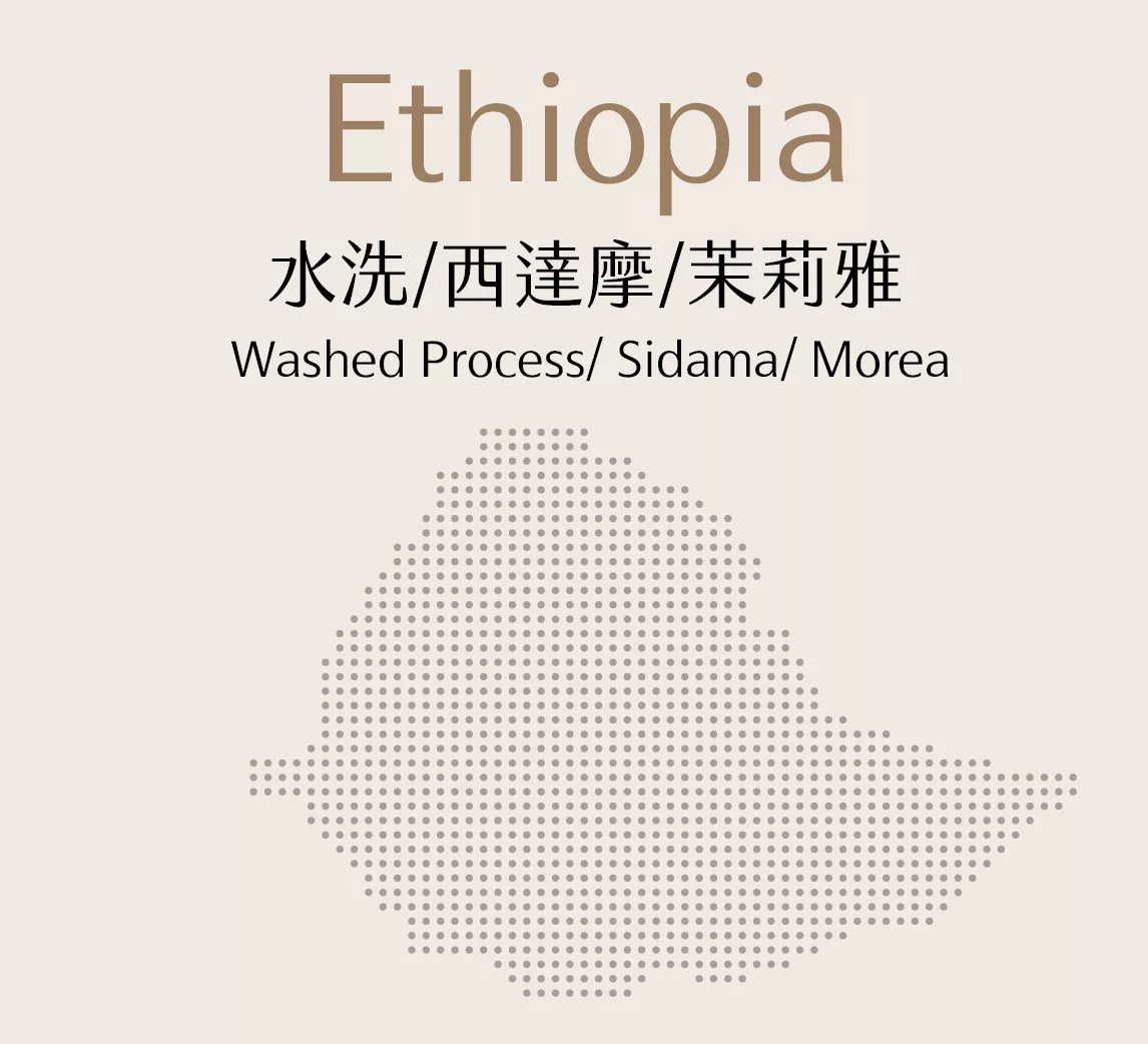 衣索比亞 | 水洗 | 西達摩 | 茉莉雅 | 半磅