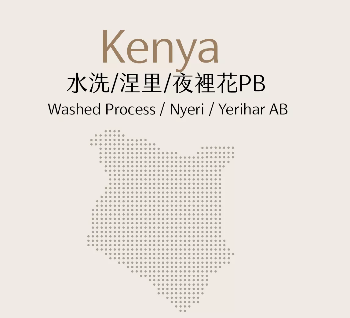 肯亞 | 水洗 | 涅里 | 夜裡花PB | 半磅