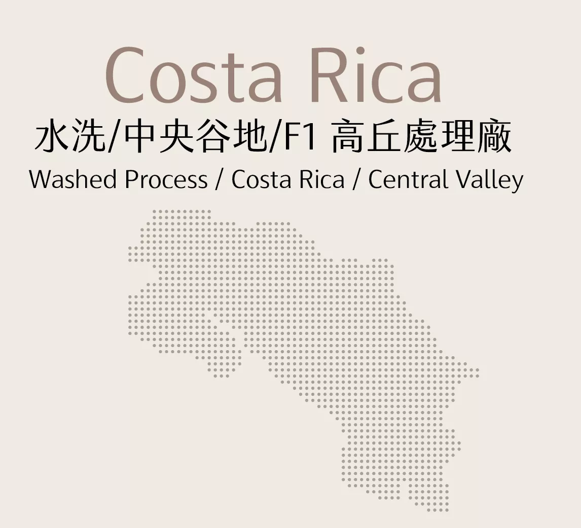 哥斯大黎加 | 水洗 | 中央谷地 | F1 高丘處理廠