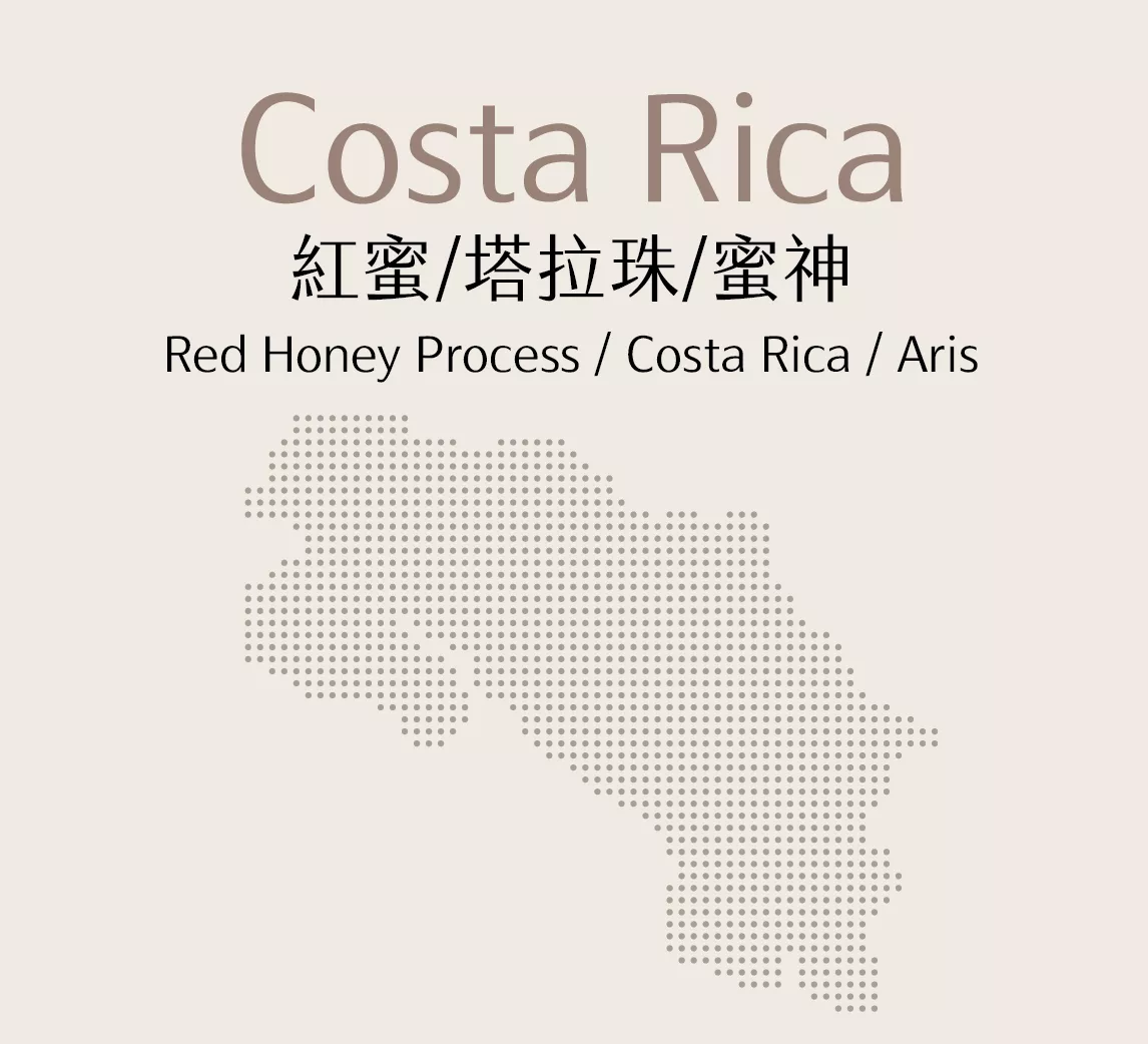 哥斯大黎加 | 紅蜜 | 塔拉珠 | 蜜神