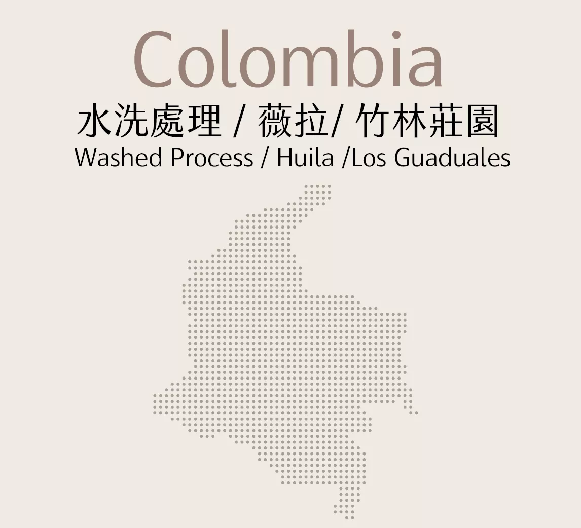 哥倫比亞 | 水洗 | 薇拉 | 竹林莊園