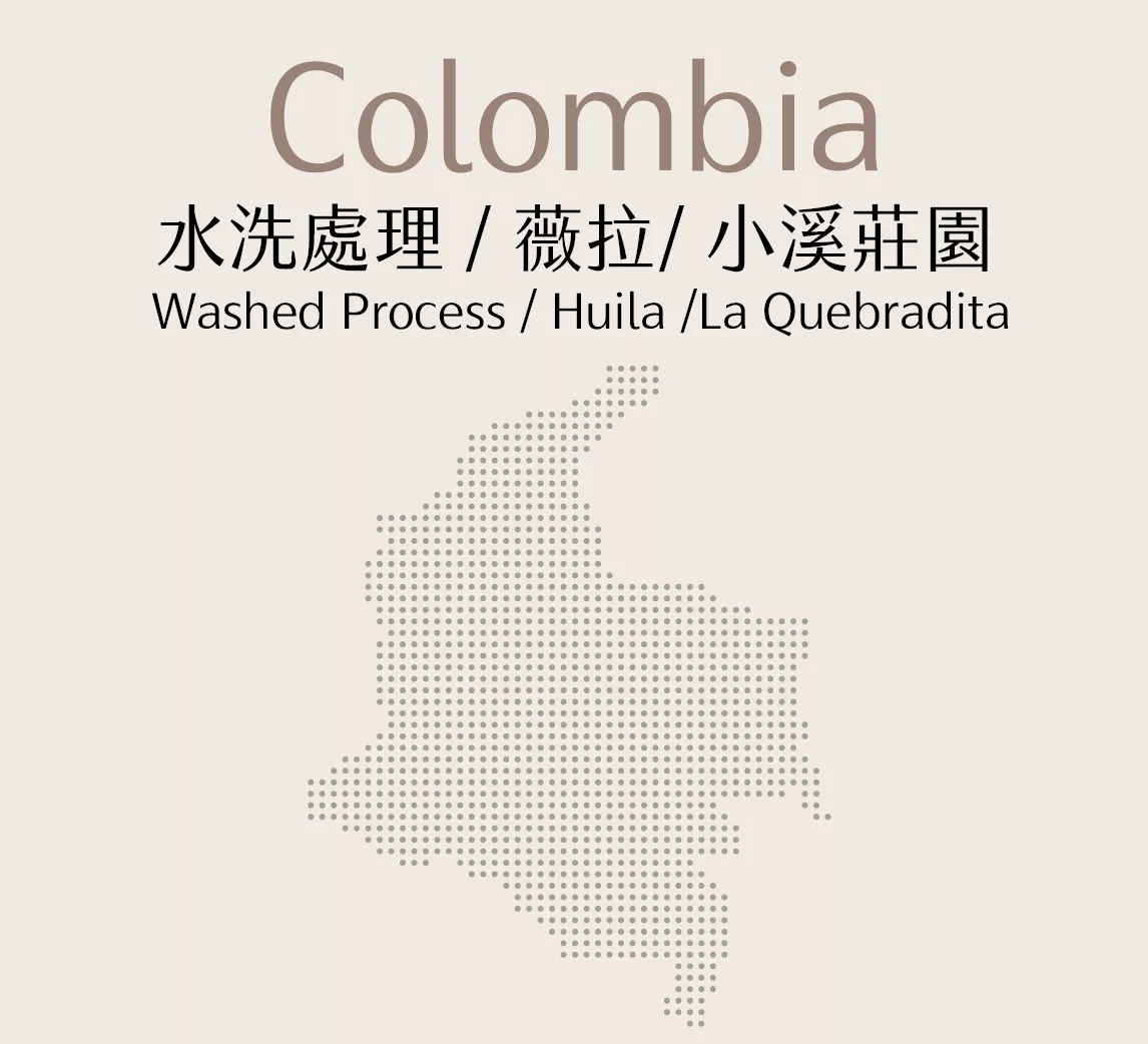 哥倫比亞 | 水洗 | 薇拉 | 小溪莊園