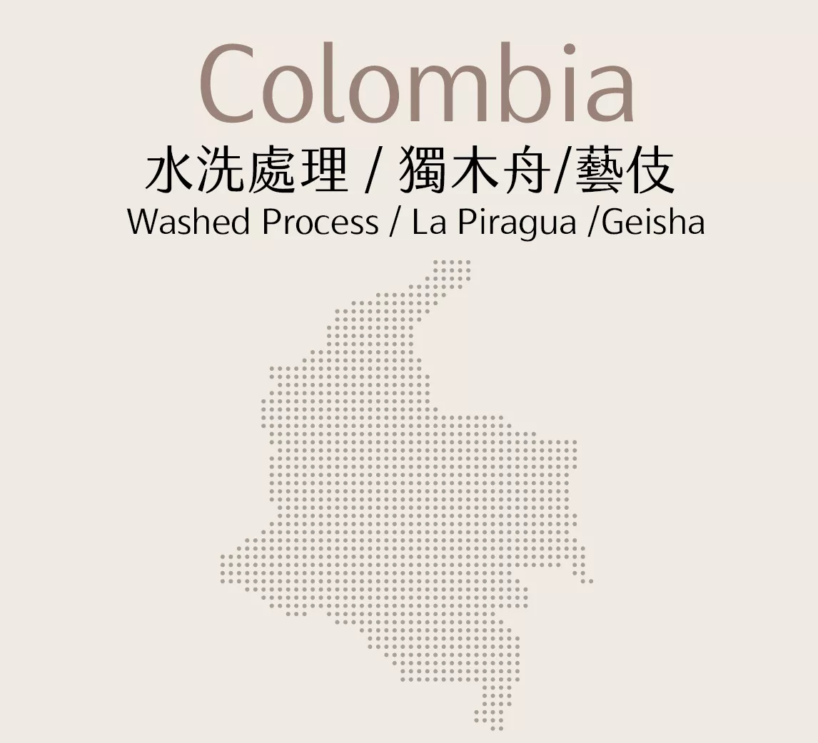 哥倫比亞 | 水洗 | 藝伎 | 藝獨木舟