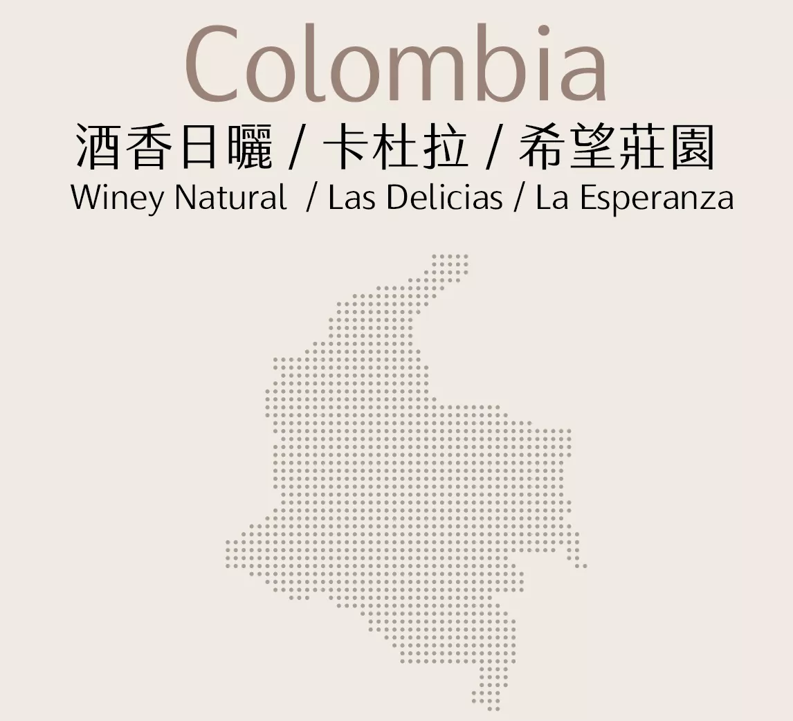 哥倫比亞 | 酒香日曬 | 卡杜拉 | 希望莊園