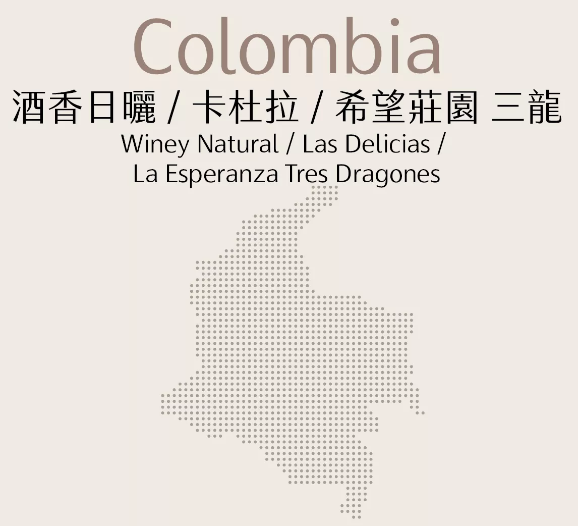 哥倫比亞 | 酒香日曬 | 卡杜拉 | 希望莊園 三龍