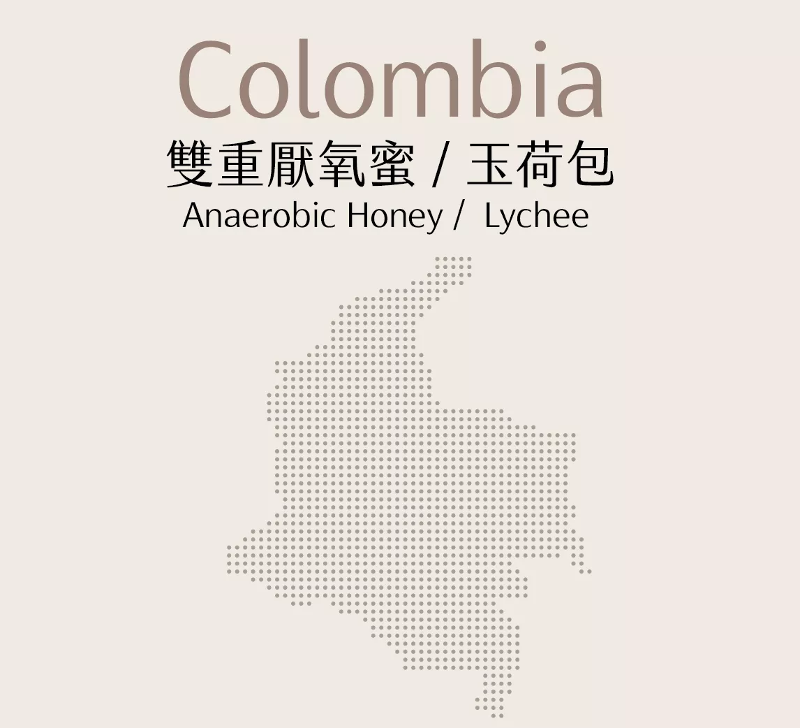 哥倫比亞 | 雙重厭氧蜜 | 玉荷包