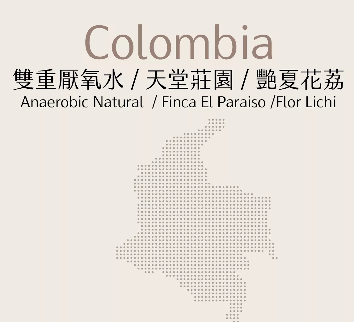 哥倫比亞 | 雙重厭氧水 | 天堂莊園 | 艷夏花荔