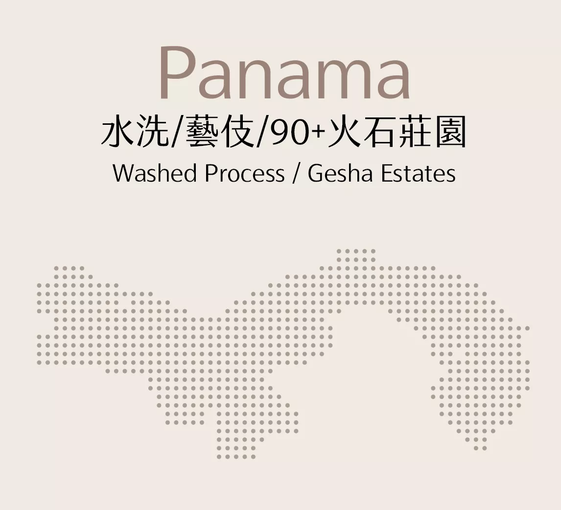巴拿馬 | 水洗 | 藝伎 | 90+火石莊園