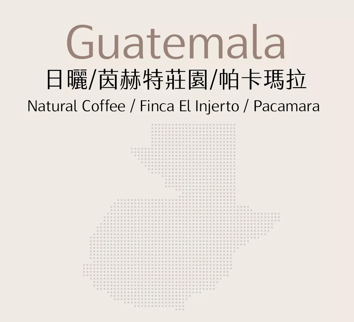 瓜地馬拉 | 日曬 | 茵赫特莊園 | 帕卡瑪拉