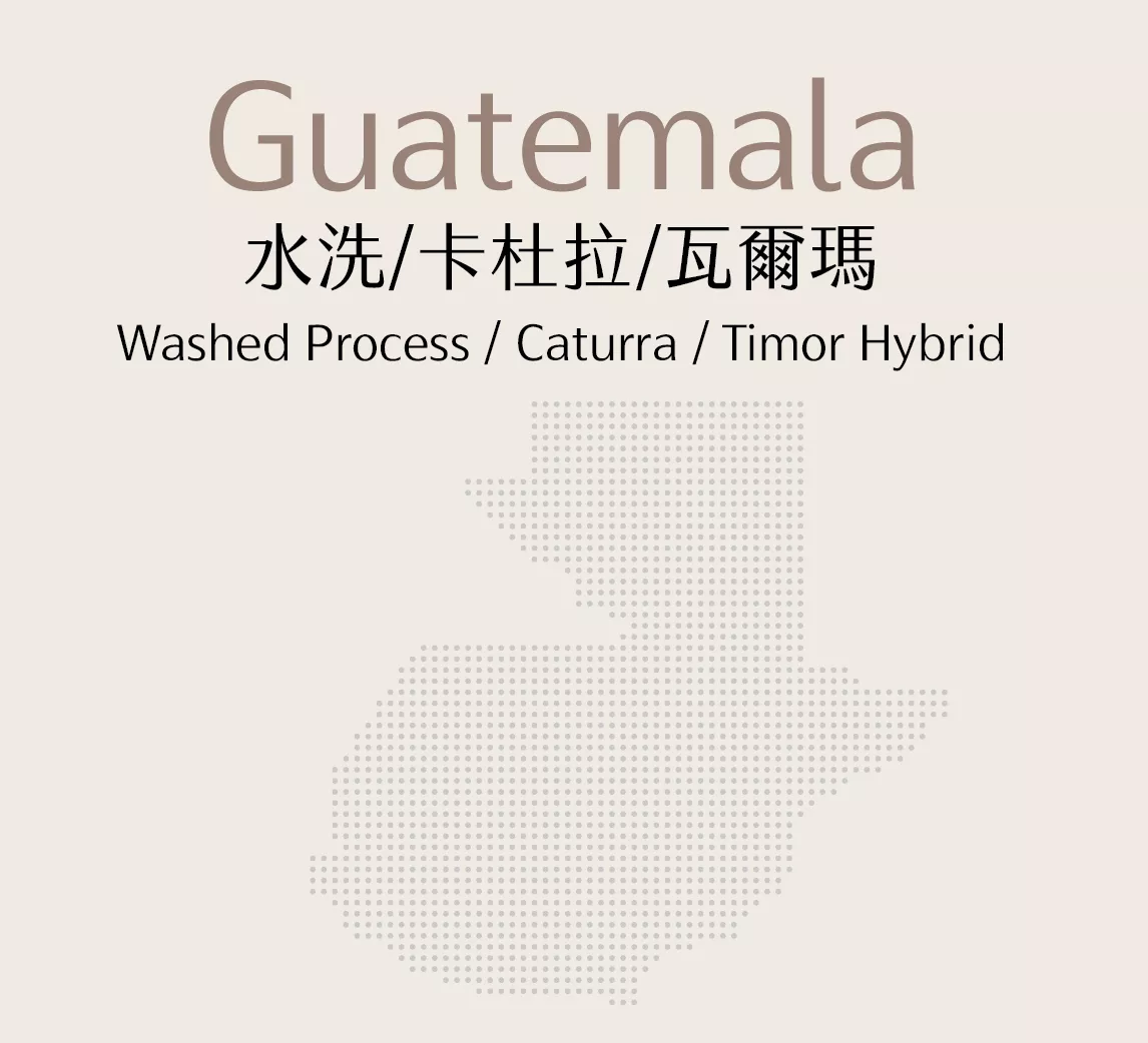 瓜地馬拉 | 水洗 | 卡杜拉 | 瓦爾瑪