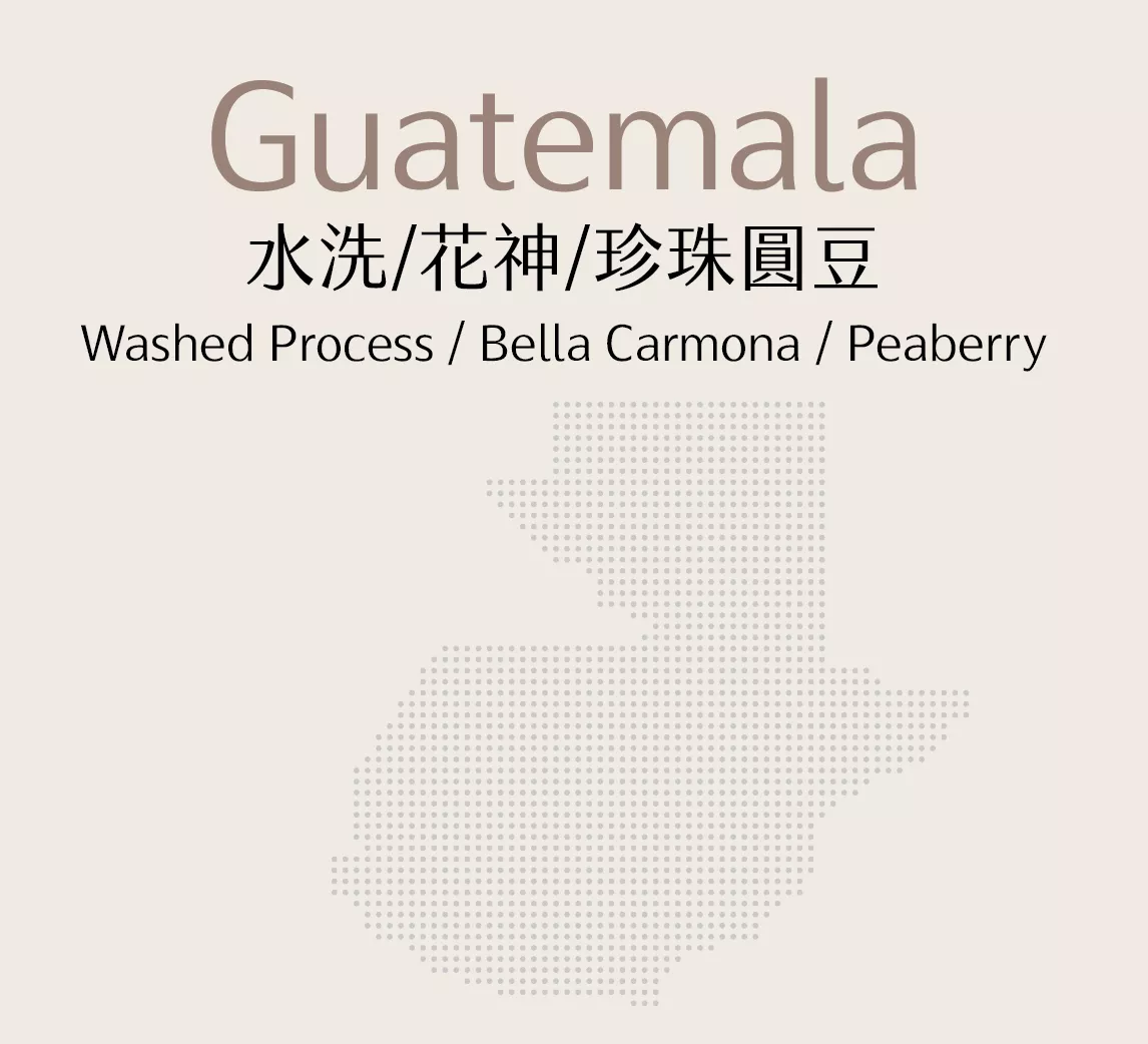 瓜地馬拉 | 水洗 | 花神 | 珍珠圓豆