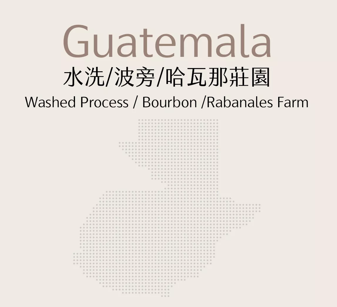 瓜地馬拉 | 水洗 | 波旁 | 哈瓦那莊園
