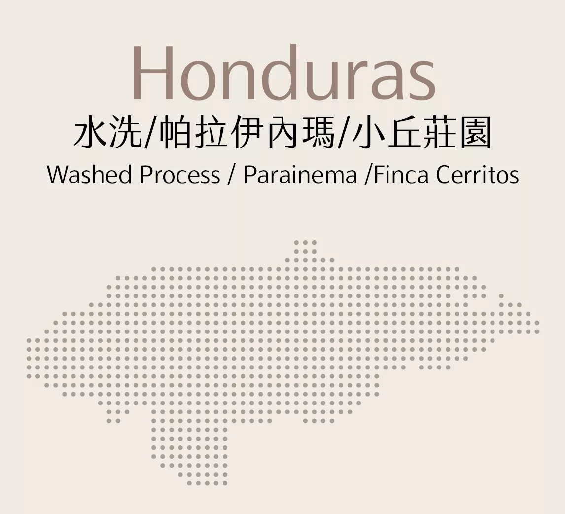 宏都拉斯 | 水洗 | 帕拉伊內瑪 | 小丘莊園