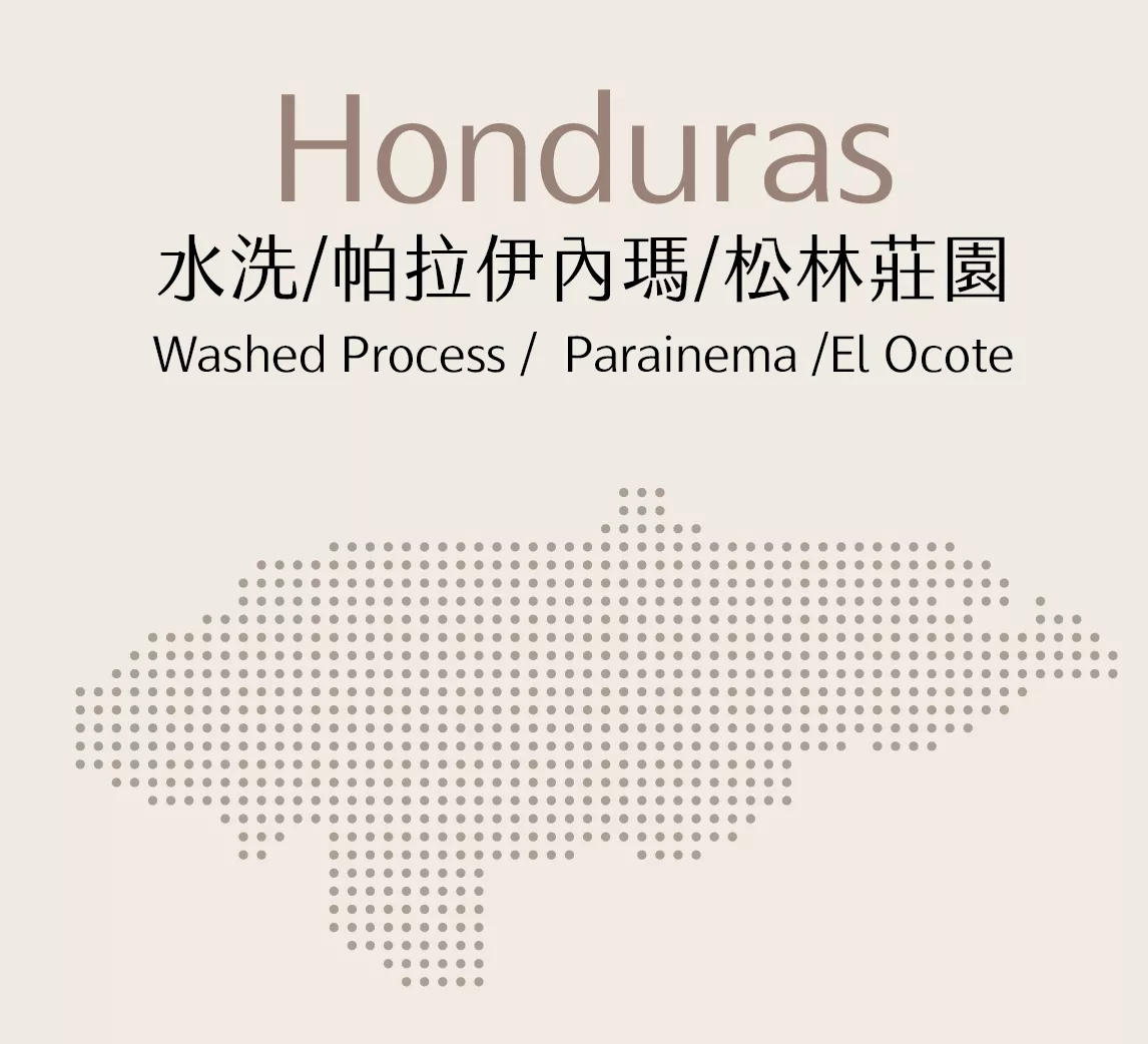 宏都拉斯 | 水洗 | 帕拉伊內瑪 | 松林莊園