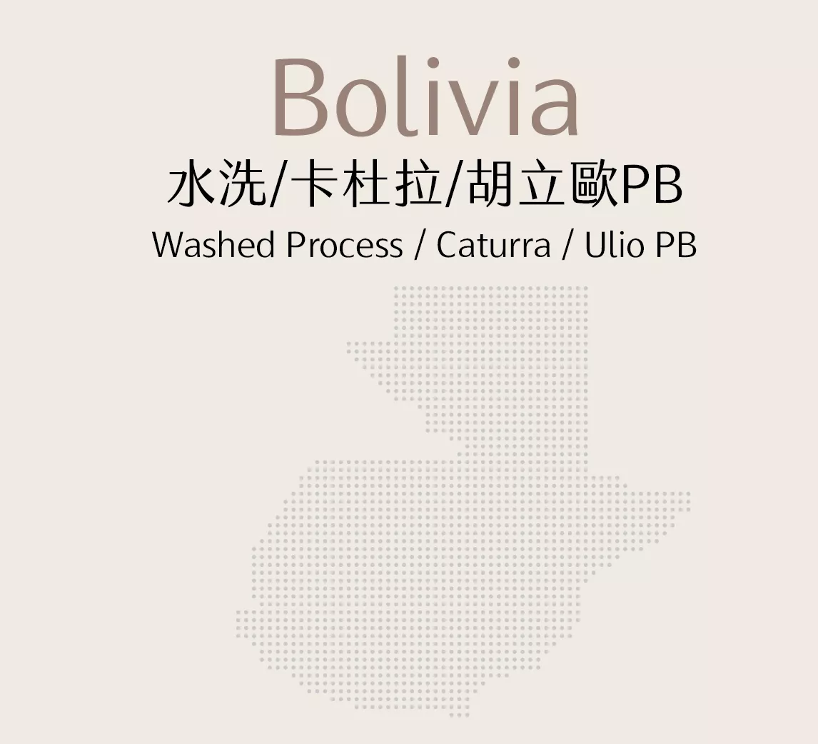 玻利維亞 | 水洗 | 卡杜拉 | 胡立歐PB