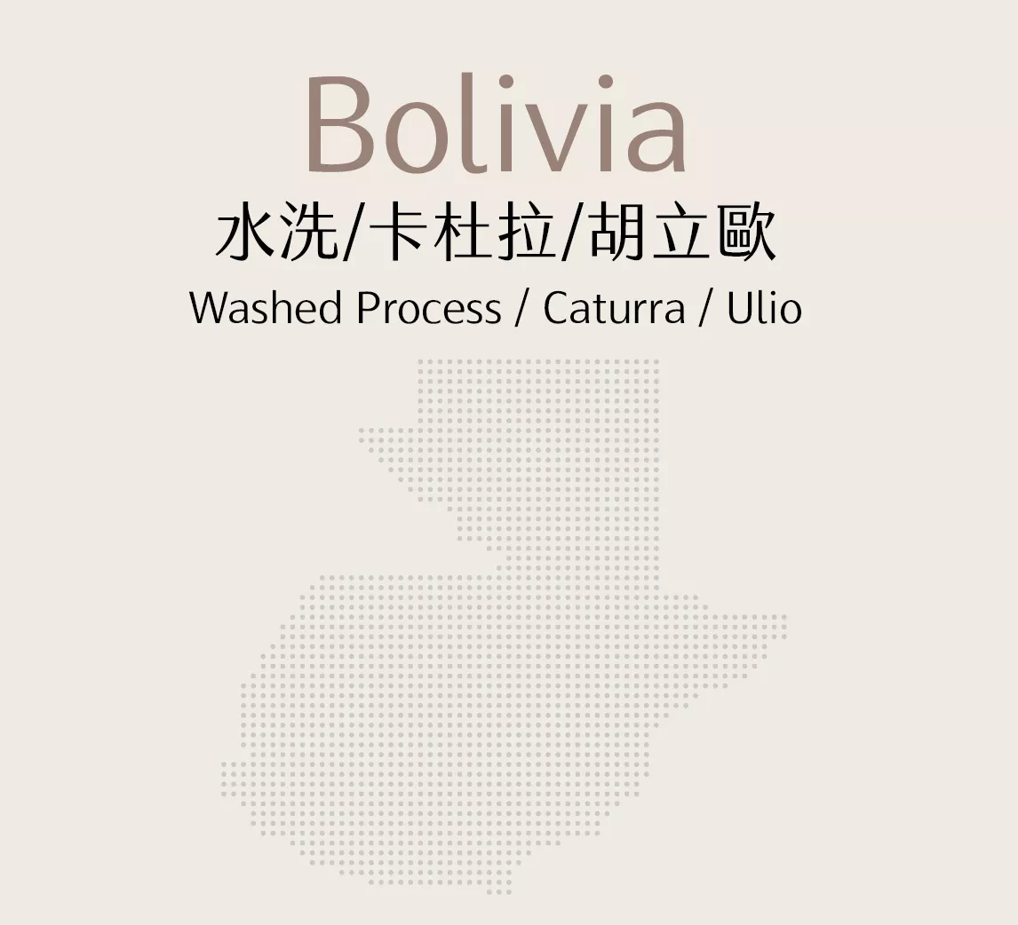 玻利維亞 | 水洗 | 卡杜拉 | 胡立歐
