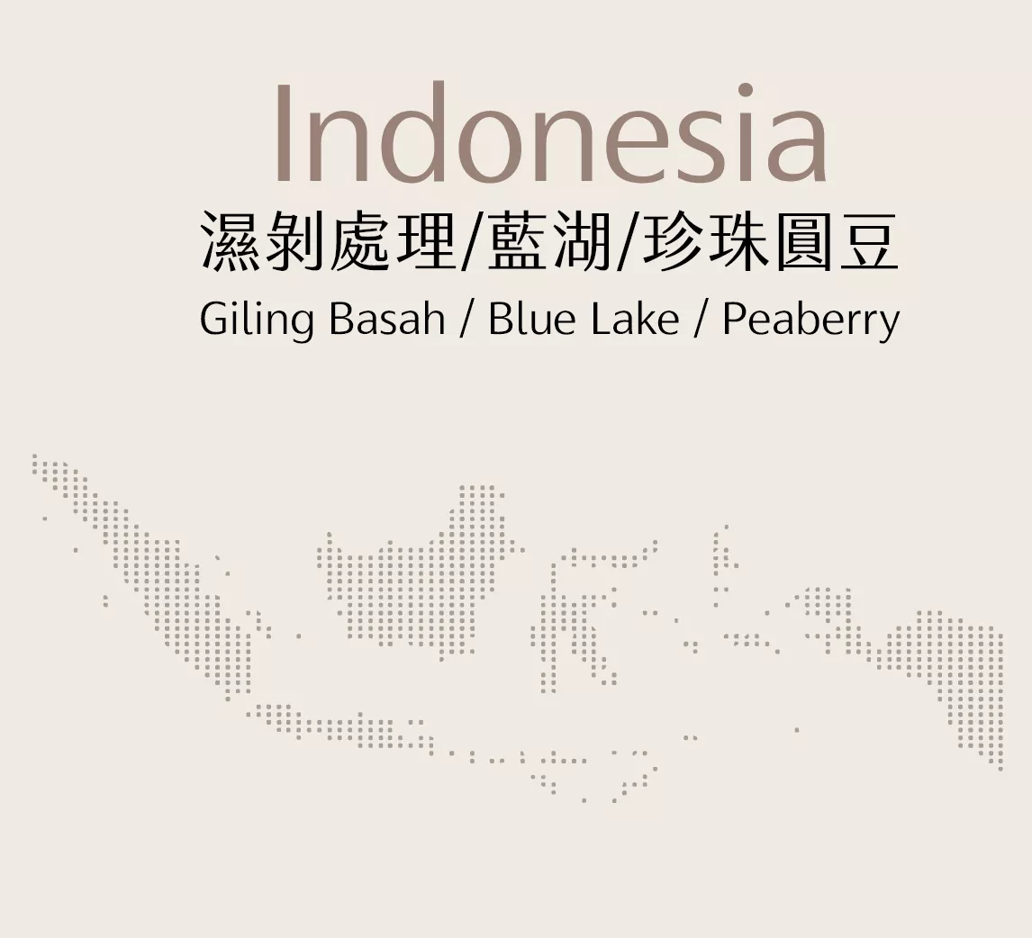 印尼 | 濕剝處理 | 藍湖 | 珍珠圓豆