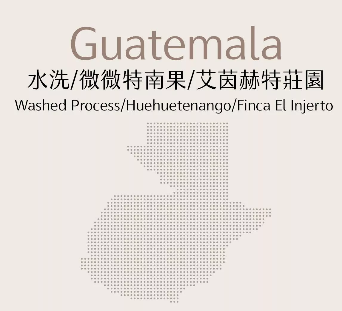 瓜地馬拉 | 水洗  | 微微特南果 | 艾茵赫特莊園
