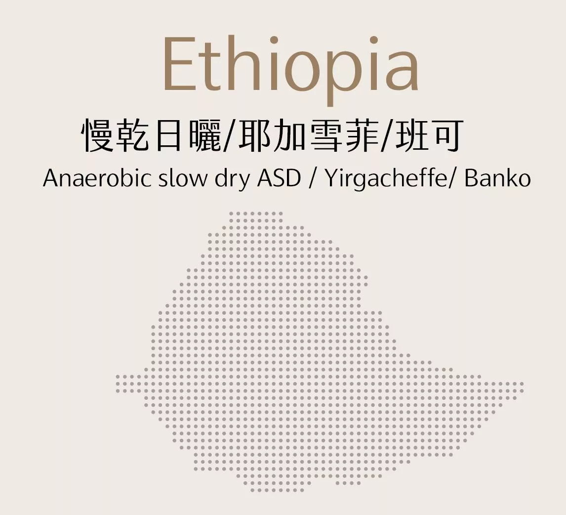 衣索比亞 | 慢乾日曬 | 耶加雪菲 | 班可 | 半磅