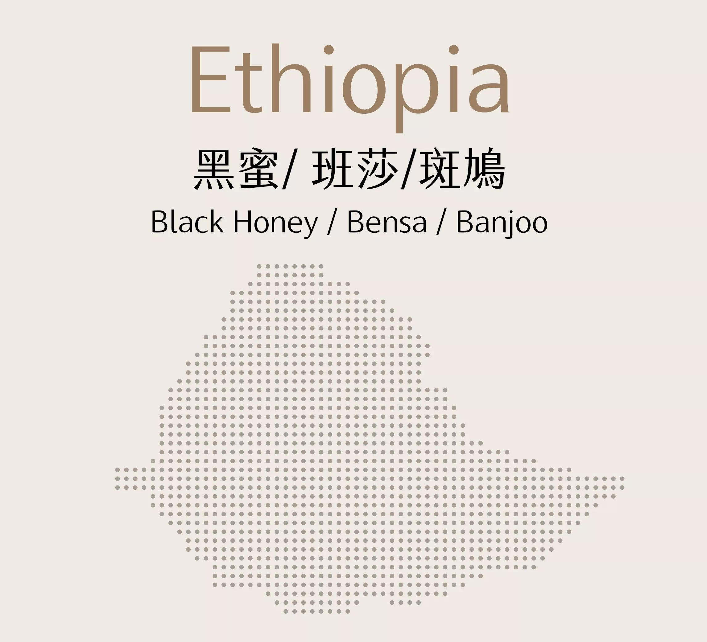 衣索比亞 | 黑蜜 | 班莎 | 斑鳩