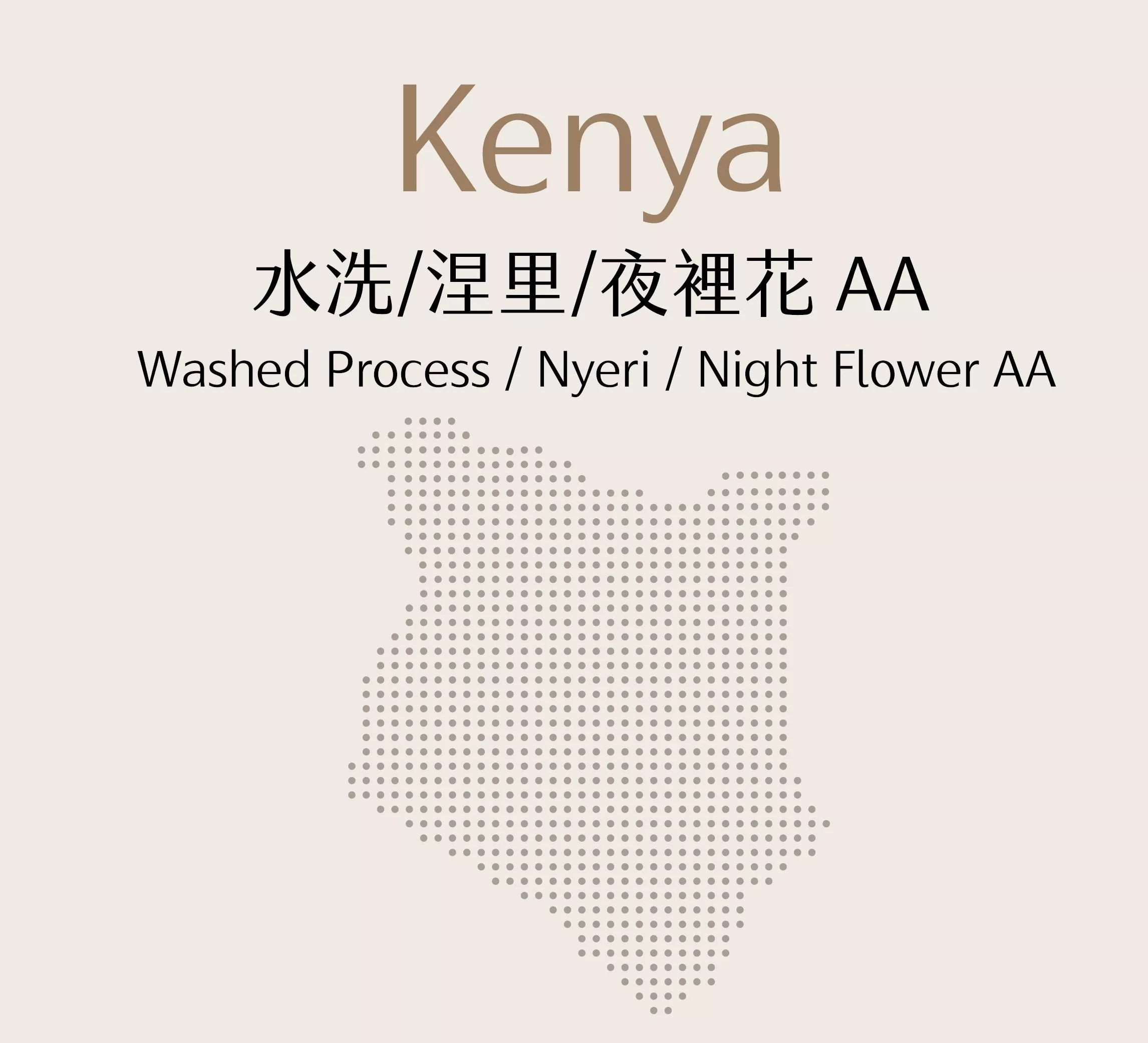 肯亞 | 水洗 | 涅里 | 夜裡花AA | 半磅