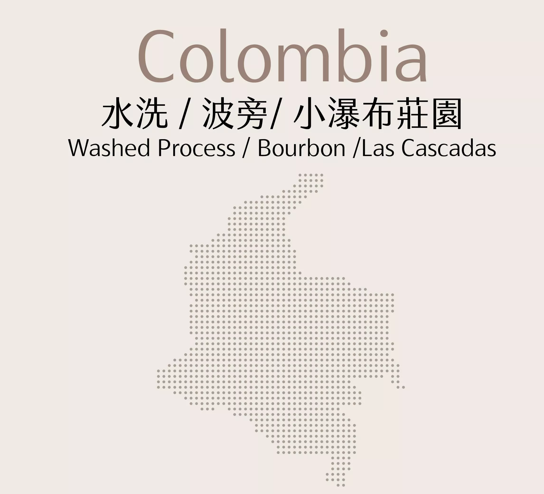 哥倫比亞 | 水洗 | 波旁 | 小瀑布莊園