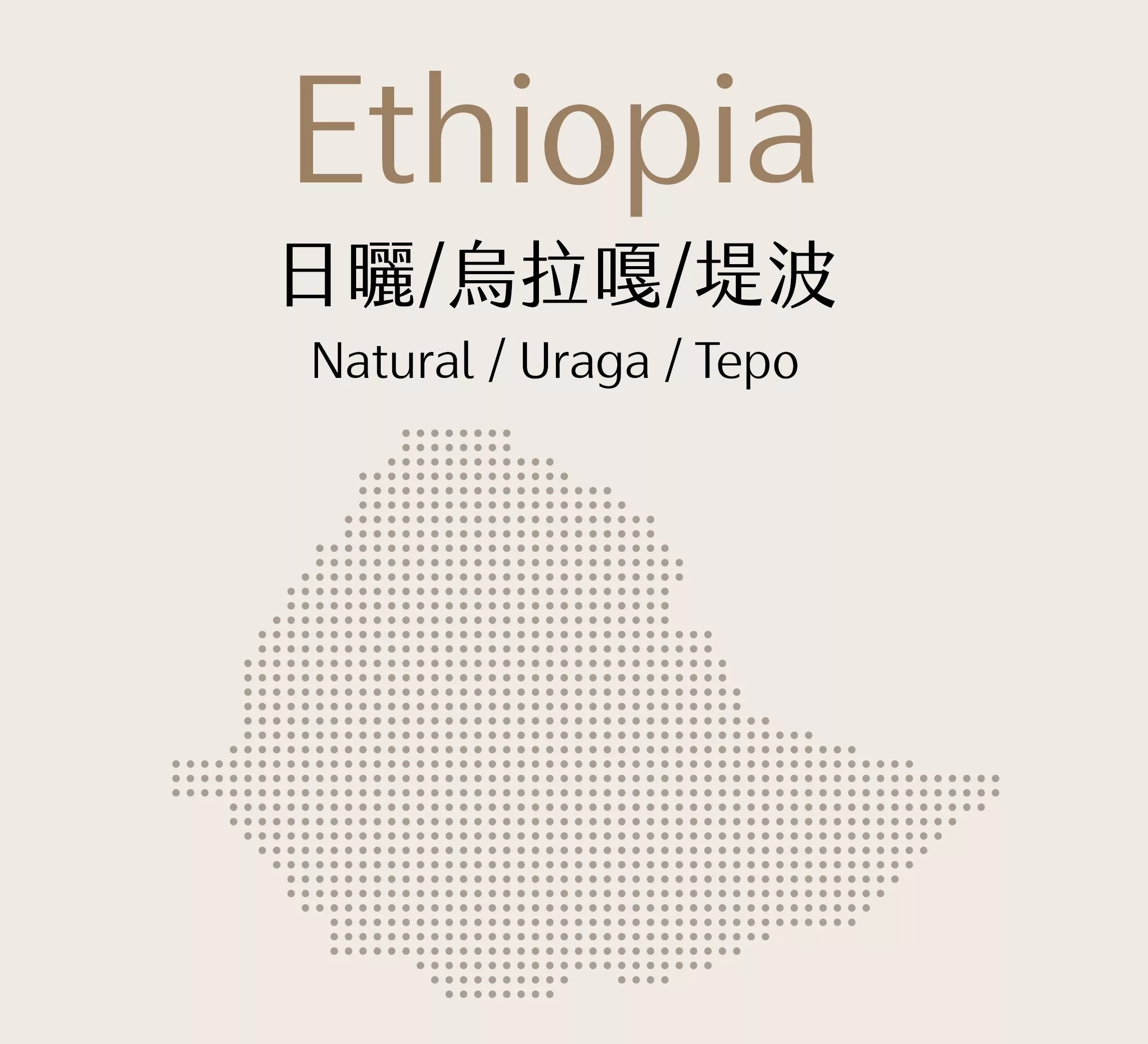 衣索比亞 | 日曬 | 烏拉嘎 | 堤波 | 半磅