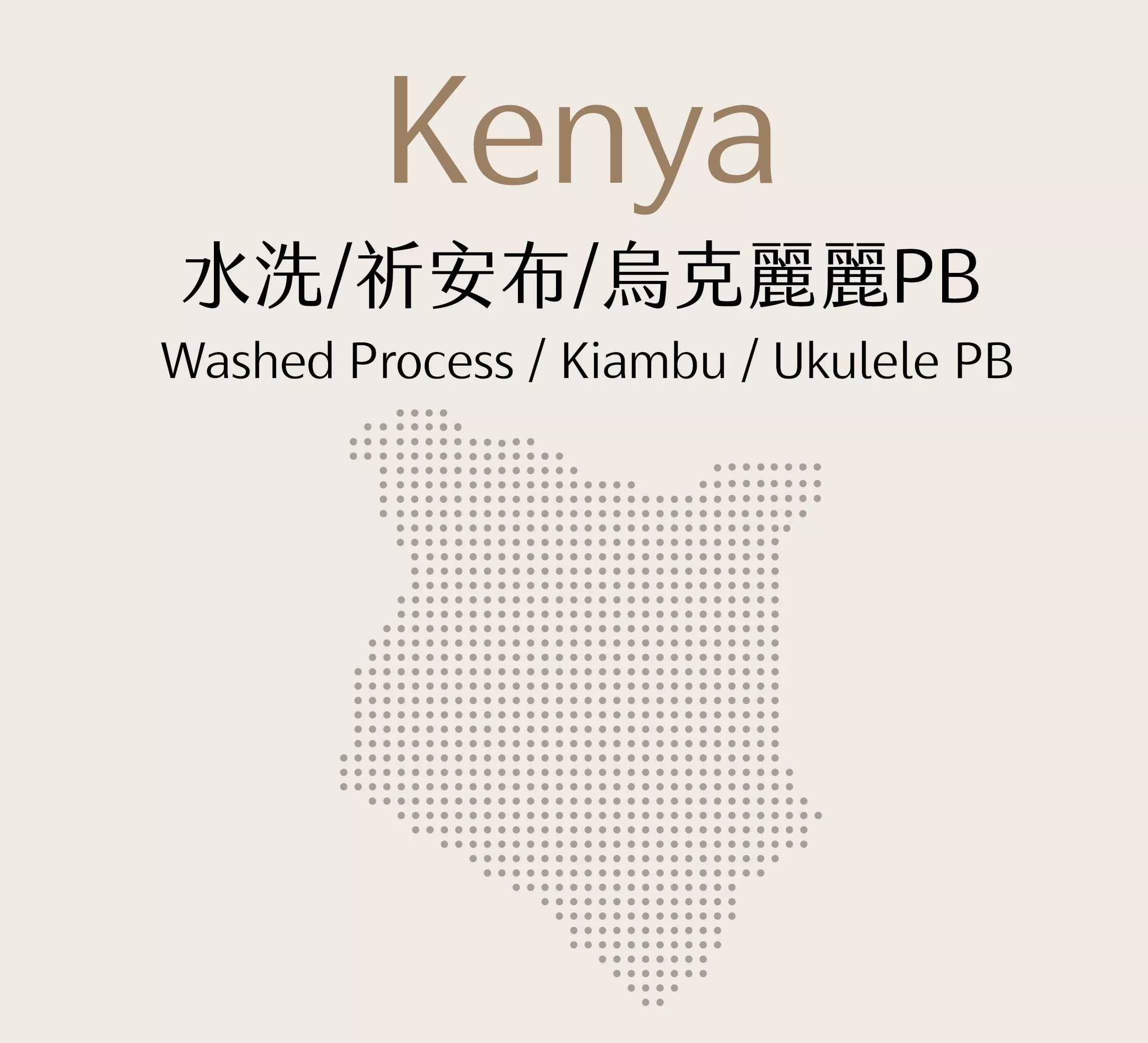 肯亞 | 水洗 | 祈安布 | 烏克麗麗PB | 半磅