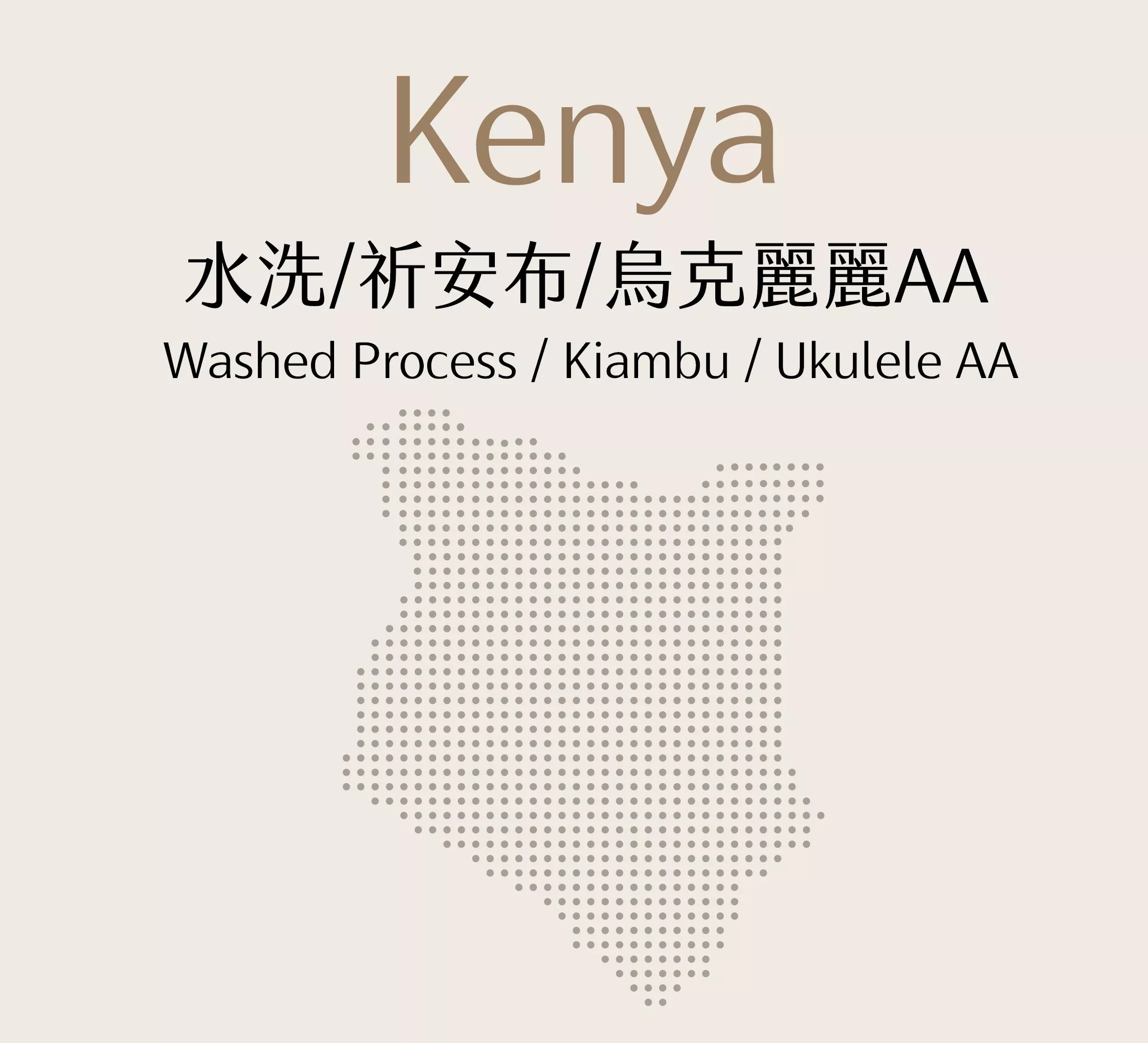 肯亞 | 水洗 | 祈安布 | 烏克麗麗AA | 半磅