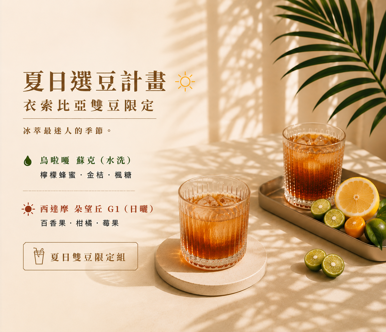夏日雙豆限定組-品嚐衣索比亞的水洗清爽與日曬奔放！