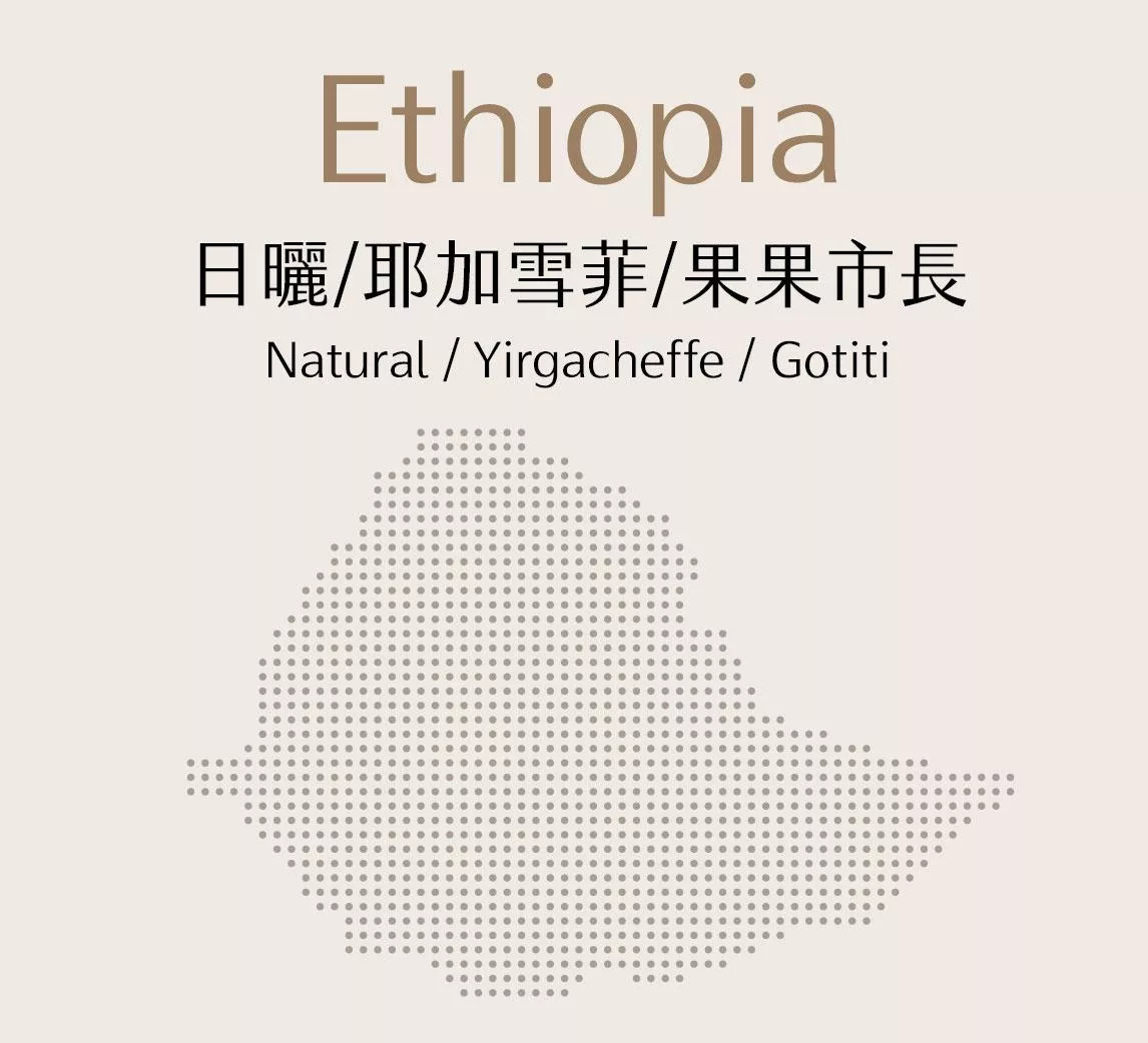 衣索比亞 | 日曬 | 耶加雪菲 | 果果市長