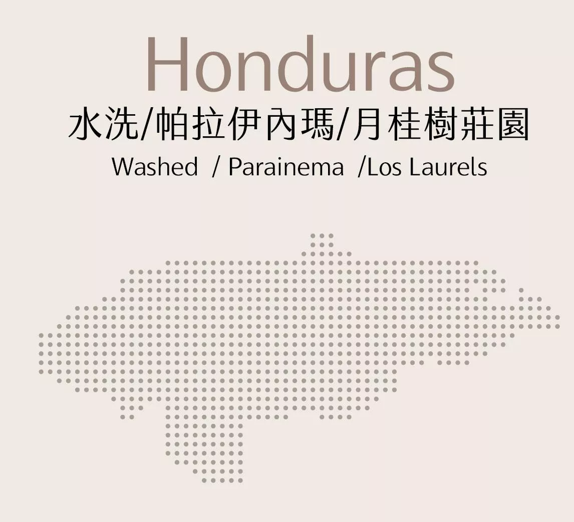 宏都拉斯 | 水洗 | 帕拉伊內瑪 | 月桂樹莊園