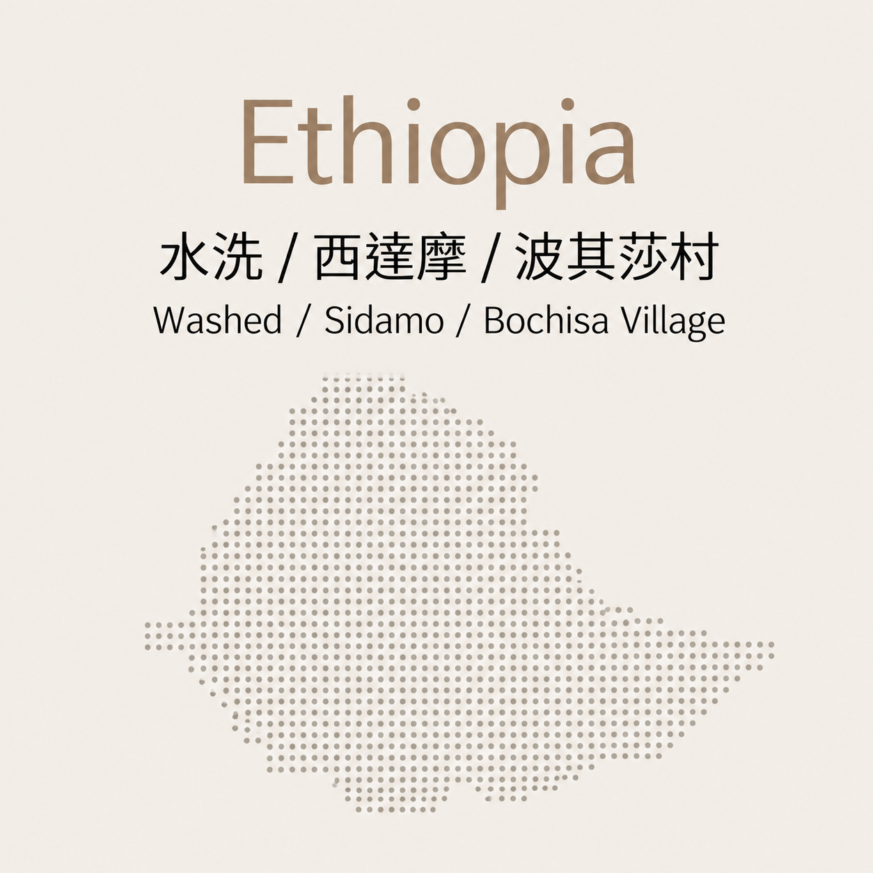 衣索比亞｜水洗｜西達摩｜波其莎村
