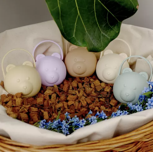 <tgm>小熊奶嘴盒