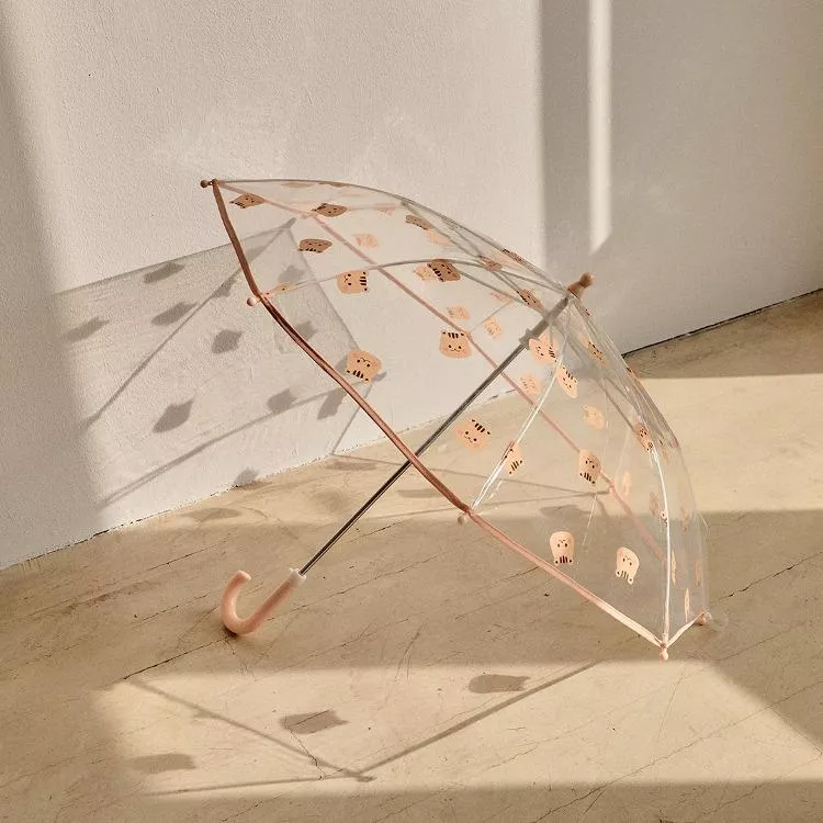 <DTD>透明松鼠雨傘