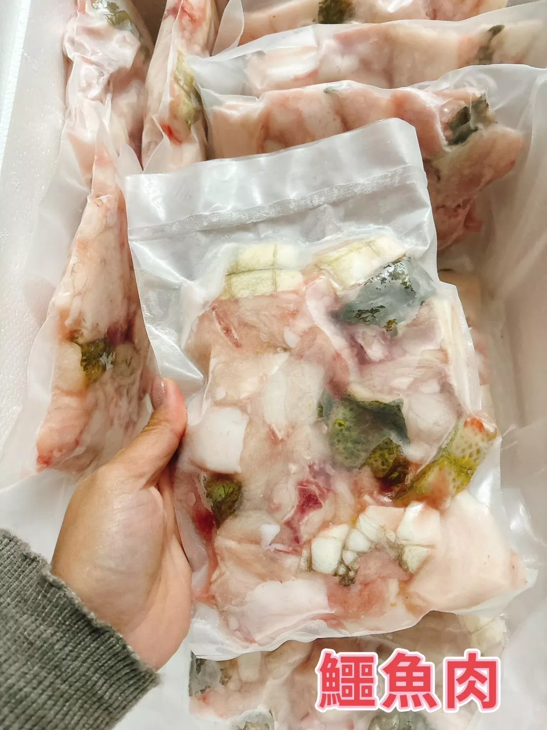 鱷魚肉1斤裝