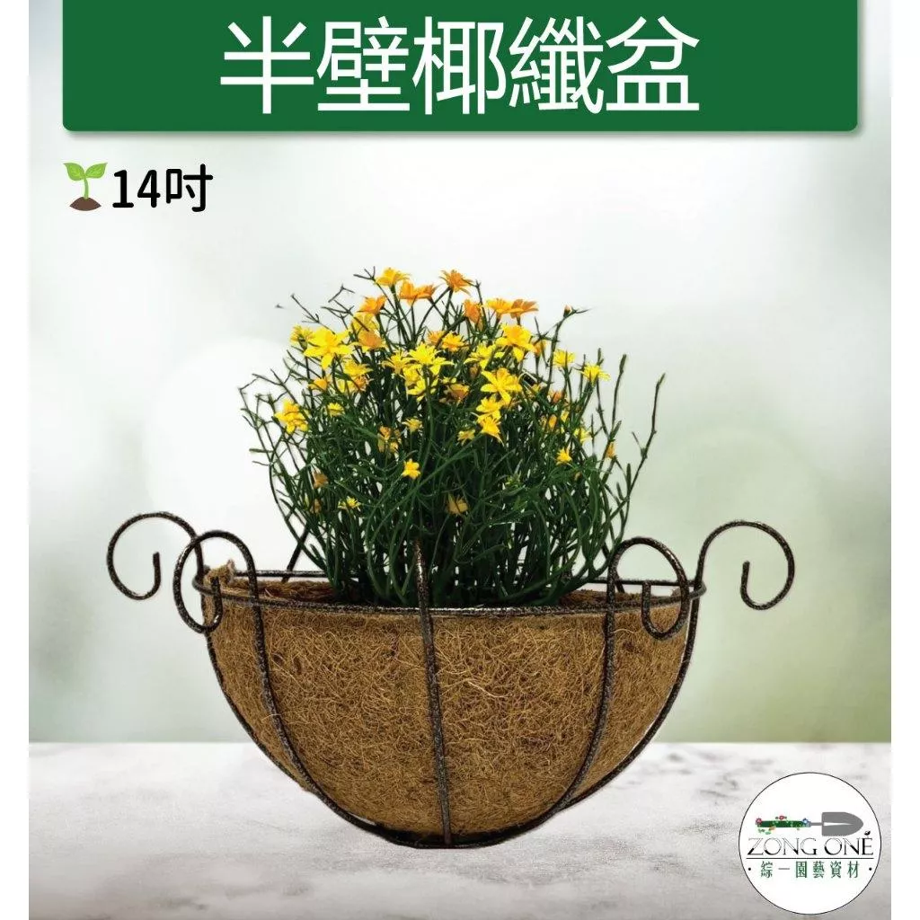 【滿額免運】半壁椰纖盆組 14寸 台灣製 椰纖內盆 椰纖半壁 椰纖壁盆 椰纖吊盆 椰纖吊盆 吊盆 吊籃  歐式壁盆