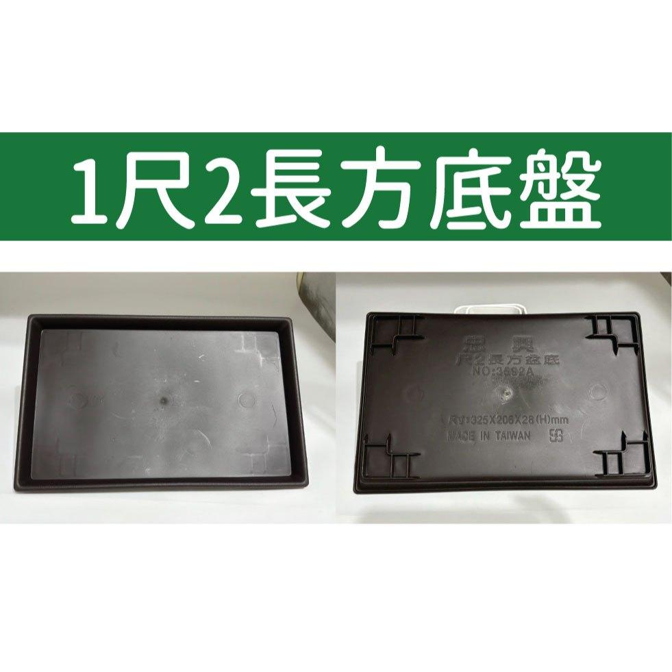 長方水盤 滿額免運】台灣製水盤6寸8寸1尺尺2 尺4 尺7 長方盆用水盤多規格水盤