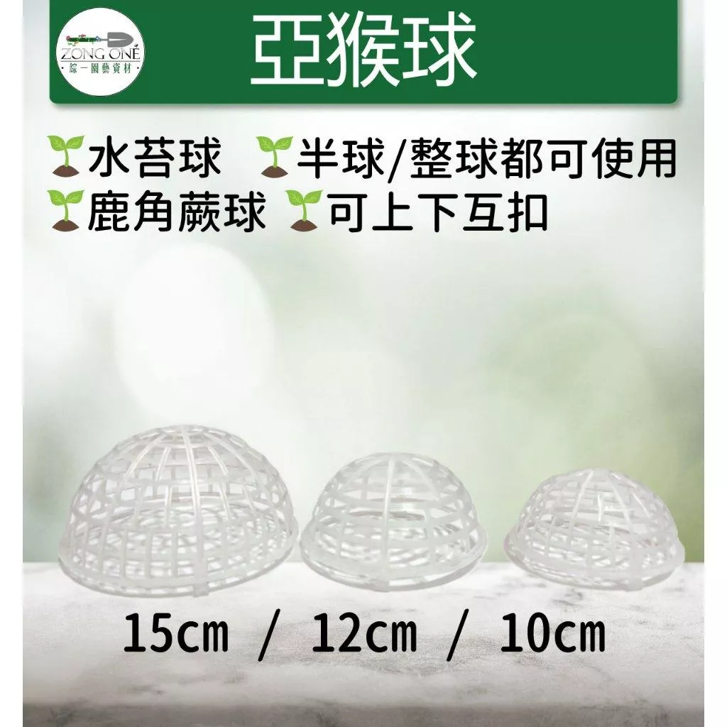 【滿額免運】亞猴球 15公分 12公分 10公分 鹿角蕨球 水苔球 鹿角蕨上板 上板神器 苔球製作神器 綜一園藝