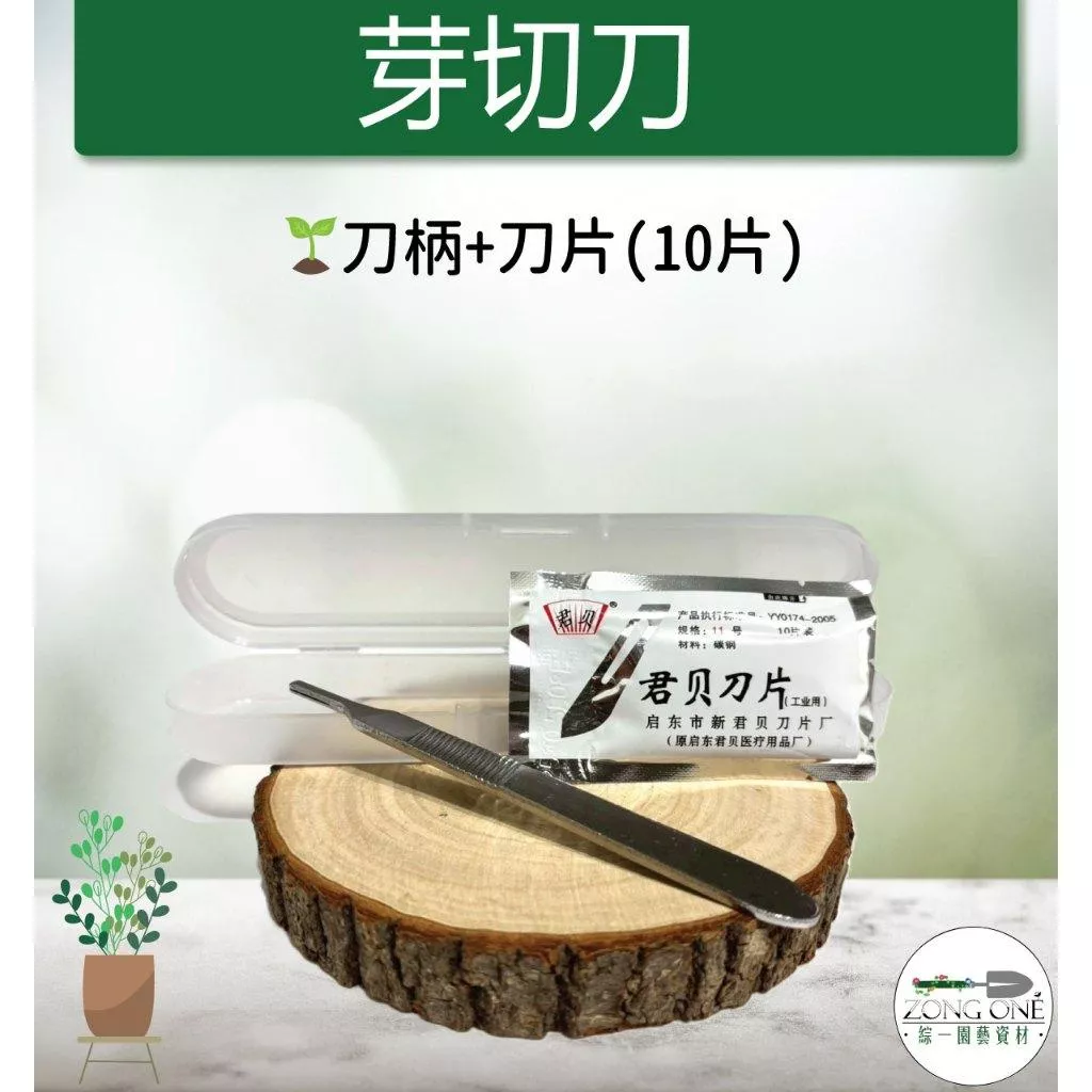 【滿額免運】芽切刀 植栽小物 多肉分株刀 切芽刀  頂芽刀 側芽刀 含刀片 防滑紙 刀盒 芽切刀 多肉刀 綜一園藝