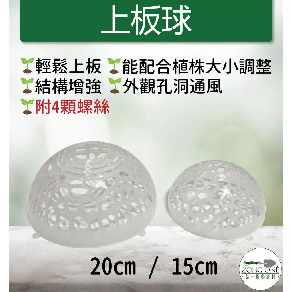 【滿額免運】上板球 附4顆螺絲 上鹿神球 鹿角蕨上板  上鹿神器 植物上板 鹿角蕨球 水苔球 蘭花 蘭科  附生植物