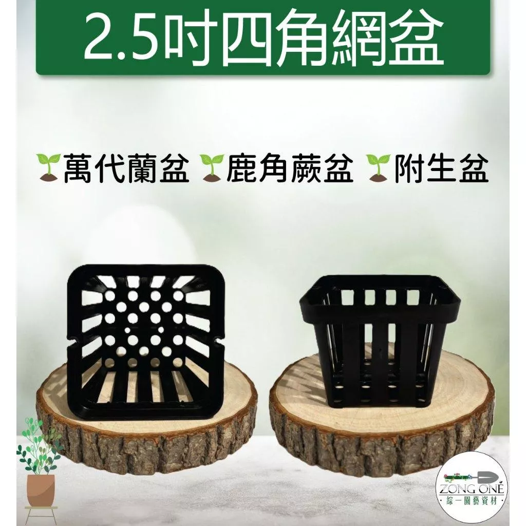 【台灣現貨】2.5吋四角網盆 附生植物籃 鹿角蕨上板 鹿角蕨盆 蘭花盆 附生植物盆 鹿角蕨 空氣鳳梨 透氣盆 水草盆