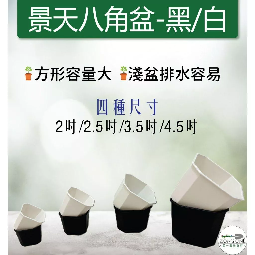 【台灣現貨】景天八角方型盆 黑白兩色 淺八角百合盆 透氣盆 多肉盆 仙人掌 栽培淺 盆栽 植栽 多肉 觀葉 綜一園藝