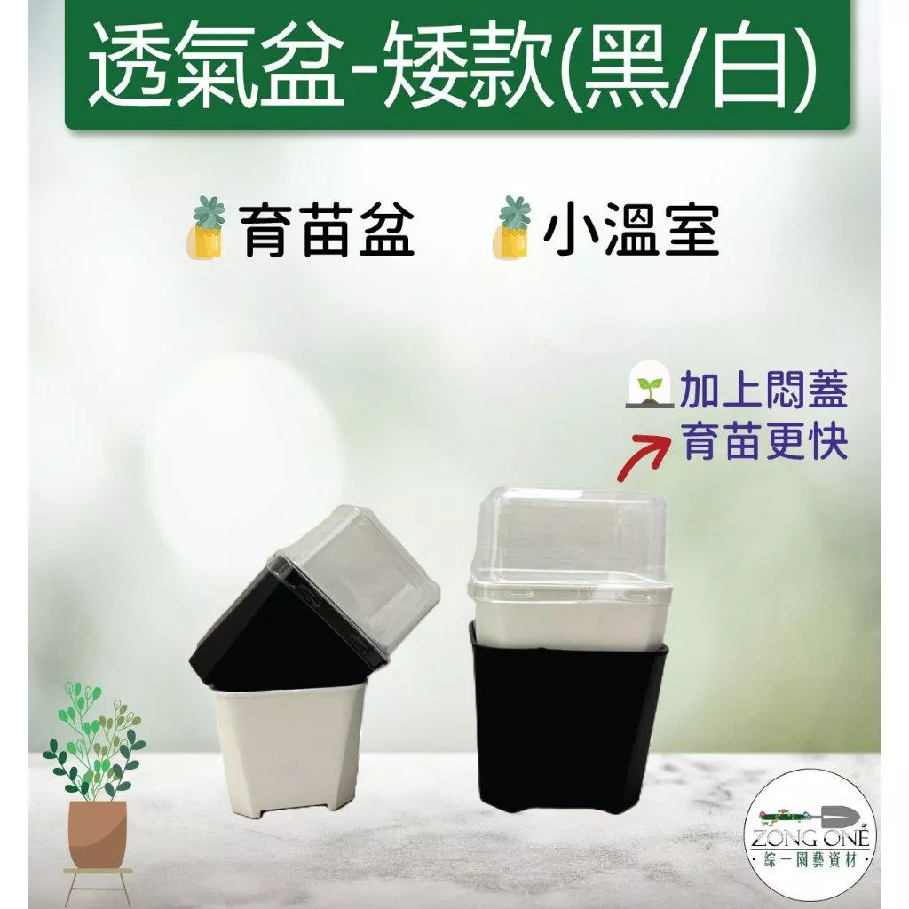 【台灣現貨】透氣盆 (矮款)黑白 控根盆 透明蓋另購 透氣盆 多肉花盆 花盆 四方盆 塑膠花盆 透明蓋 透明悶蓋悶