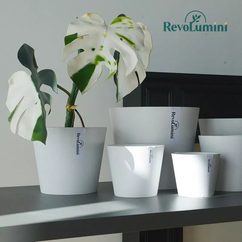 【滿額免運】環保花盆 (附底盤) 白/灰/黑 加厚花盆 輕奢花盆 塑膠花盆 花盆 盆器 多肉花盆 接水盤 綜一園藝