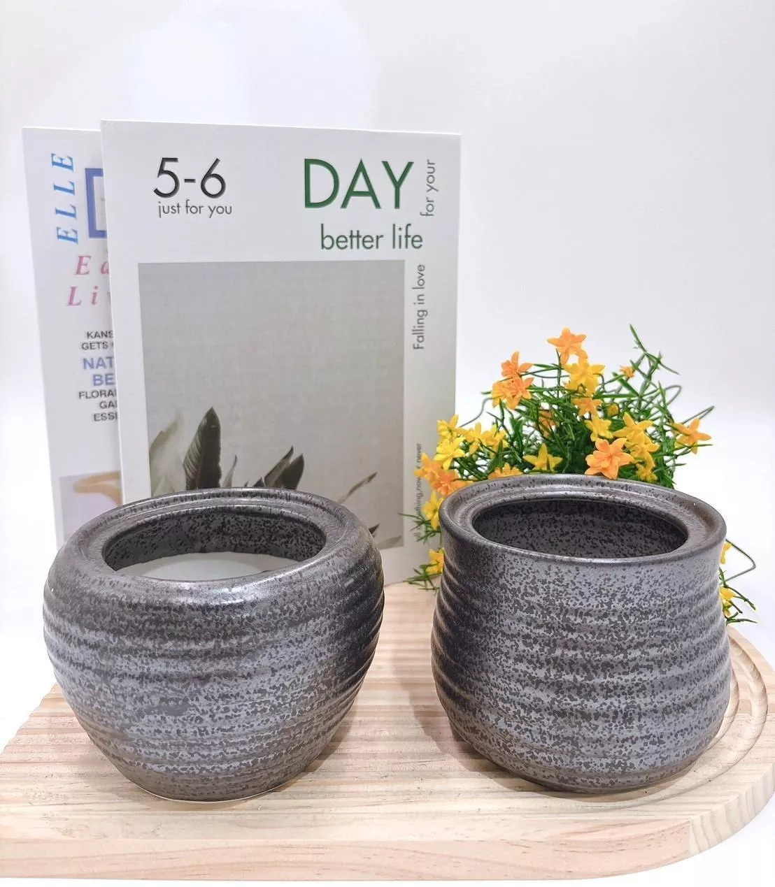 【滿額免運】黑耀花盆 簡約風 生活家飾 陶盆 蘭花盆 多肉花盆 仙人掌花盆 陶瓷花盆 小盆栽 盆器  綜一園藝