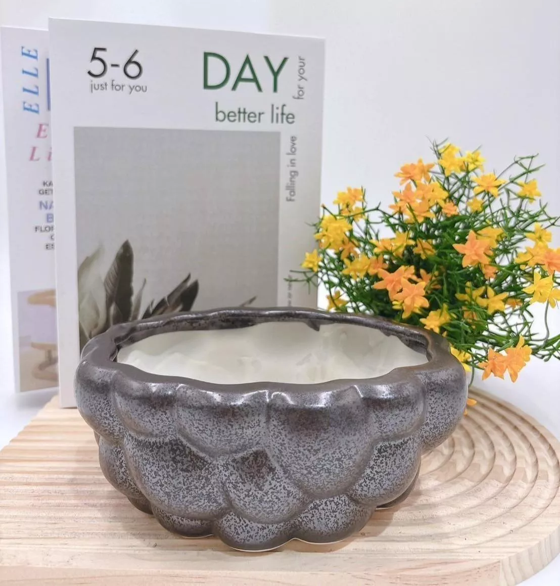 【滿額免運】黑耀泡泡盆 時尚風 生活家飾 陶盆 蘭花盆 多肉花盆 仙人掌花盆 陶瓷花盆 小盆栽 盆器  綜一園藝