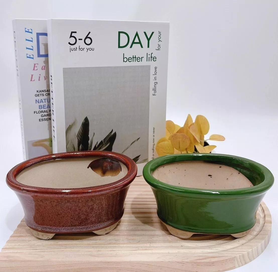 【滿額免運】長舟花器 花盆 簡約風 生活家飾 陶盆 蘭花盆 多肉花盆 仙人掌花盆 陶瓷花盆 小盆栽 盆器  綜一園藝