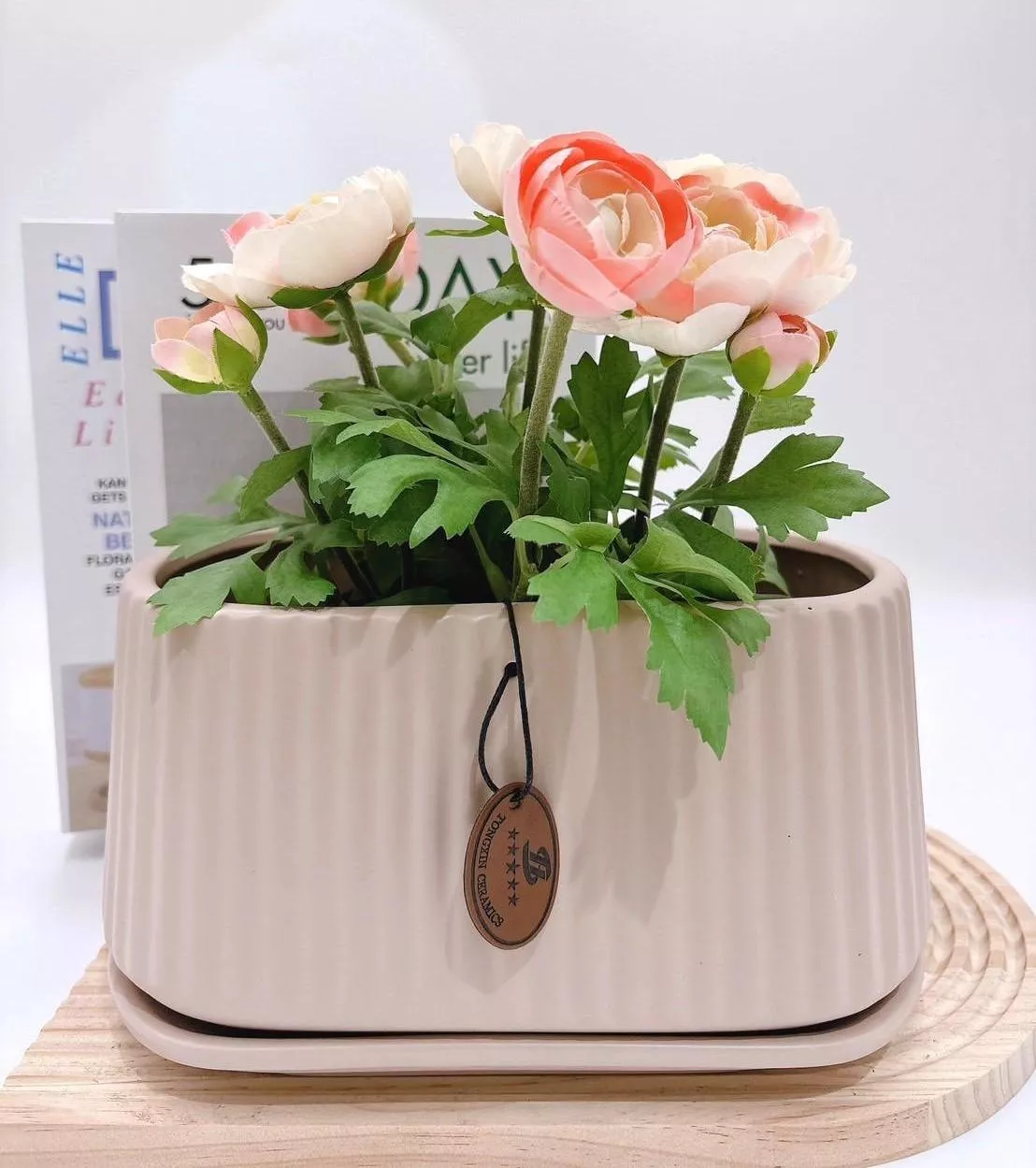 【滿額免運】直紋花槽盆 簡約風 附底盤 生活家飾 陶盆 蘭花盆 多肉花盆 仙人掌花盆 陶瓷花盆 小盆栽 盆器  綜一園藝